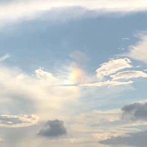 Meet your Posher, Evelyn